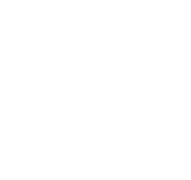 iOS的logo图标